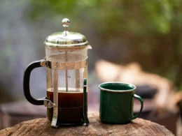 Bedste stempelkande i test